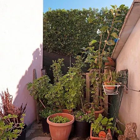 Rosa * Lavagna