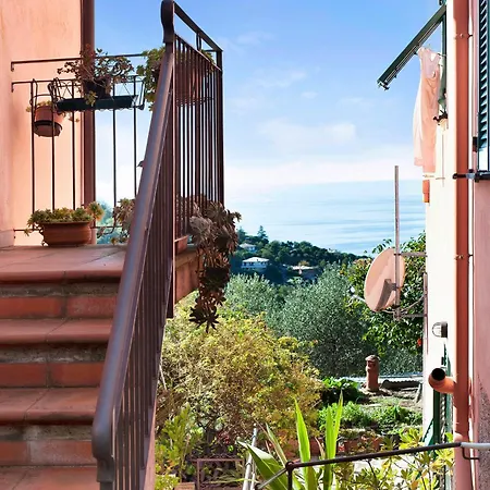 Rosa * Lavagna