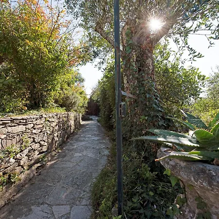 Holiday home Rosa