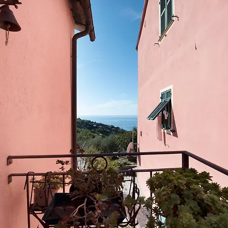 Rosa Holiday home *